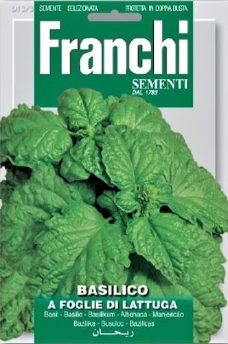 Basil Basilico A Foglie Di Lattuga Herb Seeds